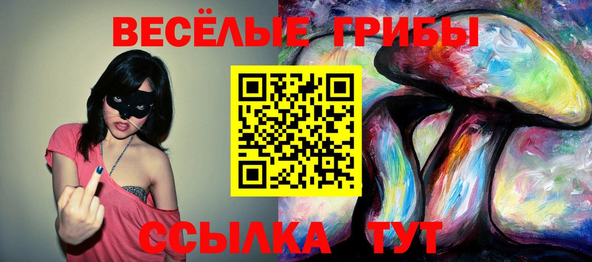 Армавир  Псилоцибиновые грибы прущие грибы  Псилоцибиновые грибы GOLDEN TEACHER  Вход с VPN 